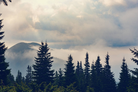 剧烈的山风景在风暴之前猛烈灰色云彩漂浮在绿色树木繁茂的山之上到天际