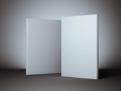 两个白色的盒子。3d 渲染