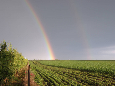美丽的双彩虹在田野里
