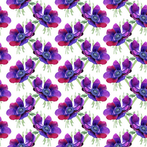 美丽的紫色的花朵。这朵花的全名是海葵。无缝背景