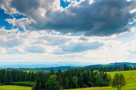 美丽的云彩在清洁和森林波兰, 在 Tatra 山的地平线上