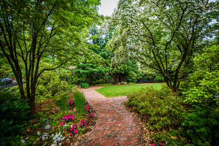 花园和校园的布朗大学，提供的走道