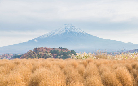 日本的富士山