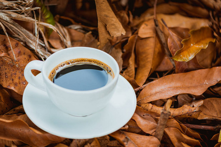 白杯热咖啡在 v 中褐色干叶自然背景上