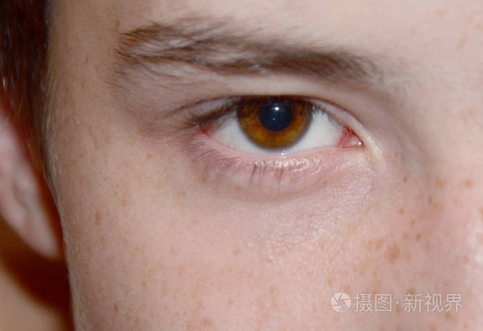 褐色眼睛和眉毛和雀斑皮肤特写