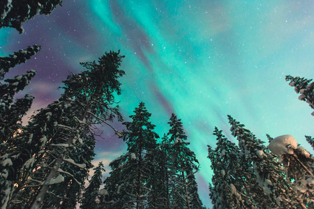 美丽的图画，大量五颜六色的绿色充满活力北极光，极光，也知道作为北极光在夜空中冬季拉普兰，挪威斯堪的纳维亚