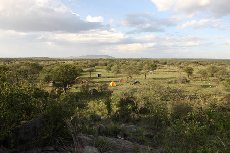 非洲大草原夏季 pictrures 野生动物园坦桑尼亚卢旺达博茨瓦纳肯尼亚