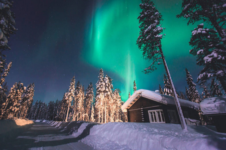 美丽的图画，大量五颜六色的绿色充满活力北极光，极光，也知道作为北极光在夜空中冬季拉普兰，挪威斯堪的纳维亚