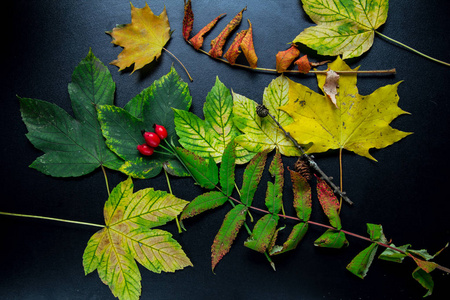 丰富多彩的秋叶创意布局。平躺。季节概念