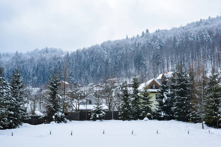 冬季景观。雪覆盖的冬镇反对背景的山腰与云杉森林。城市在山, Yaremche, 乌克兰喀尔巴阡山