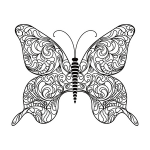 蝴蝶。矢量插画