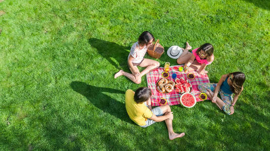 快乐家庭在公园野餐, 父母与孩子坐在草和吃健康膳食室外, 空中看法从上面, 家庭假期和周末概念