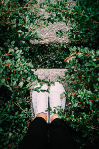时尚的脚穿白色干净的运动鞋在公园里, 夏天。休闲的腿看, 鞋子看法构成在绿色灌木, 秋天