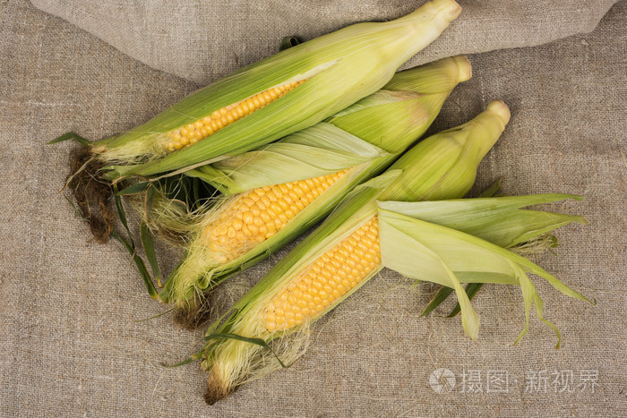 新鲜玉米棒