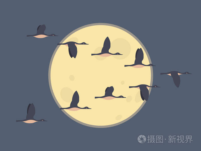 候鸟概念.夜空背景与月亮.矢量插图