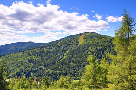 梅德韦丁，巨山捷克语krkonose，riesengebirge，捷克语，polannd