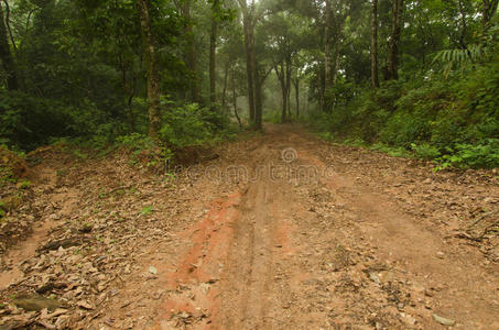 泰国doi pha hom pok山泥泞的土路和森林