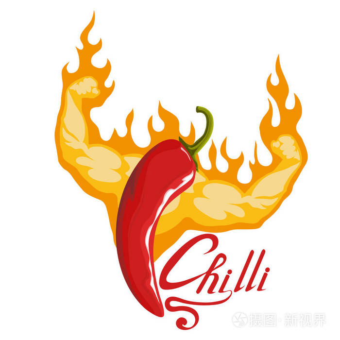 香料辣辣椒在白色背景下分离.天然健康食品.矢量图形设计