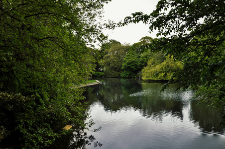 绿色森林公园中的野生湖泊河水观