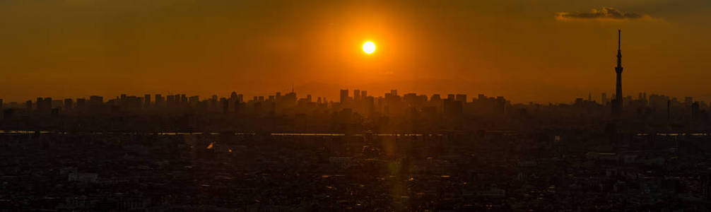 东京城市鸟瞰图和山富士全景