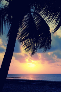 热带海滩日落
