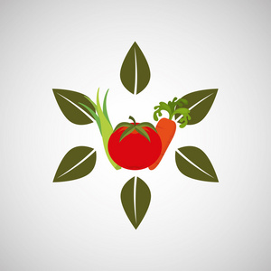 健康食品有机产品分离图标设计