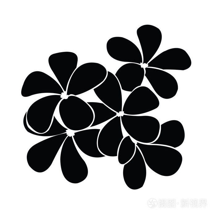 设计矢量的素馨花剪影