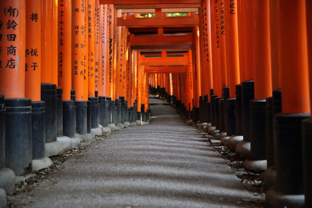 京都议定书6 月 2 日 伏见 Inari 寺 Inari 在京都。日本