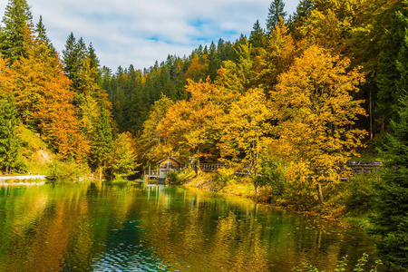 美丽的秋天森林被反射在安静的湖 Fusine。湖上容易涟漪。雨后洪水。文化生态旅游理念