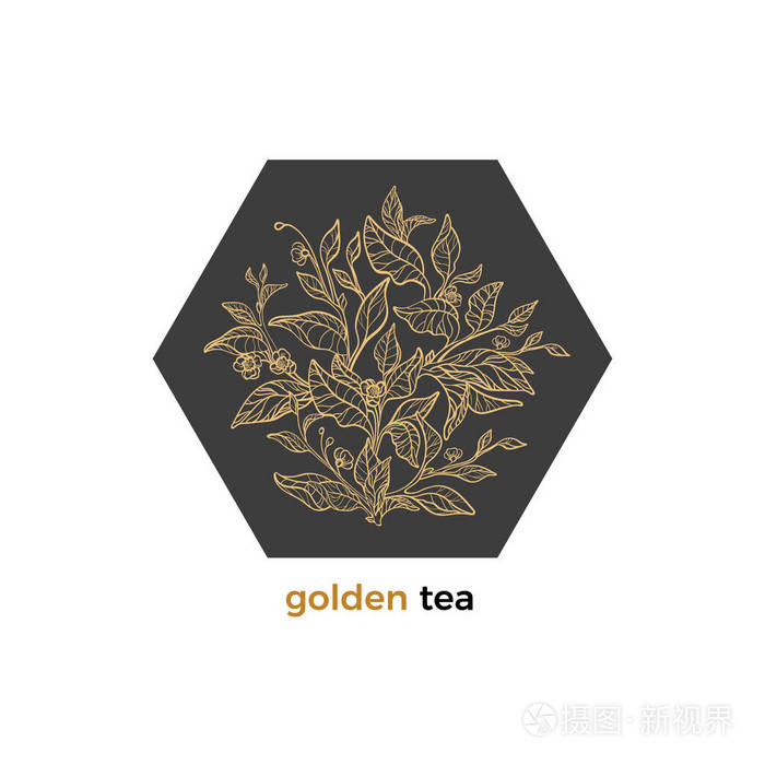 象征精美的茶树,灌木,树枝,叶子,花朵的卡片.