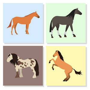 马小马种马分离不同品种颜色农场马术动物字符矢量图
