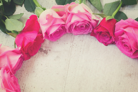 粉红色的新鲜玫瑰