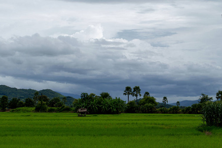 泰国多云天气山谷中的乡村景观