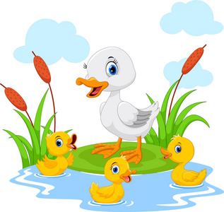 鸭妈妈和她三只可爱的小鸭子在池塘里游泳