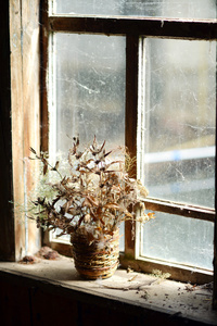 与干花的篮子。在老房子的窗口的干花束