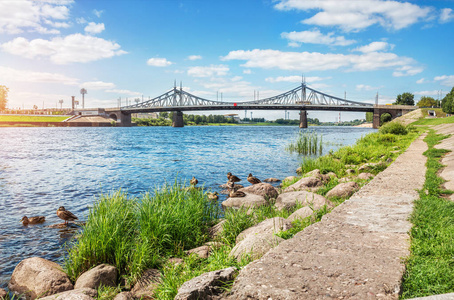 Tver 横跨伏尔加河的 Starovolzhskiy 桥, 鸭子们在夏日的阳光下沐浴在岸边的岩石上。