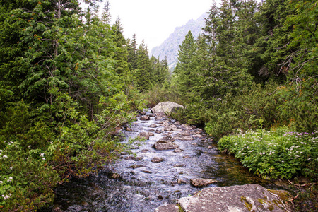 全景从绿色 beskid 山, 高 tatra, 与湖和瀑布