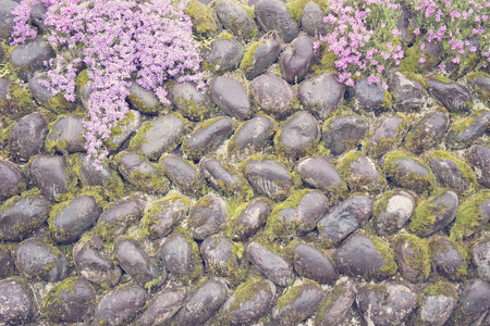 鲜花和石墙