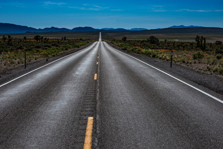 空路内华达 Hwy 93