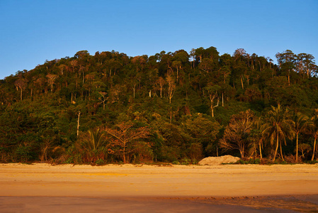 夏季自然背景。美丽的异国情调的金色沙滩, 在丛林中充满棕榈树。夏天自然场面在日出。清晨的阳光淹没了沙滩。Vacantion 理念