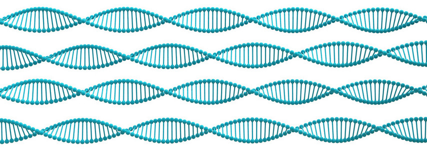 Dna 螺旋结构