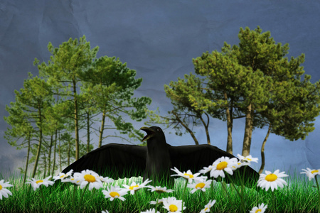 在绿色草地上的黑乌鸦三维图