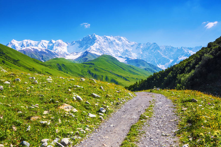 从用石头在宽阔的道路可以看到极风景如画的绿色山丘和积雪石山什哈拉山。上斯瓦涅季，格鲁吉亚，欧洲。快乐的生活方式。美丽的宇宙