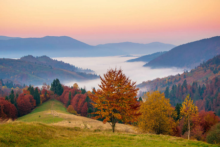 令人惊叹的秋天傍晚后, 在大山的日落。五颜六色的山和雾坐在下面