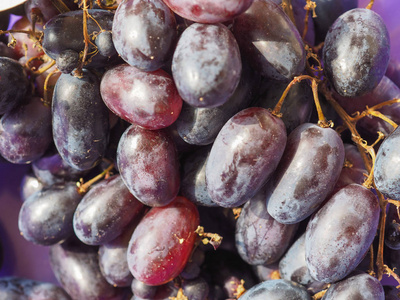 红葡萄 欧亚种葡萄 水果素食食品