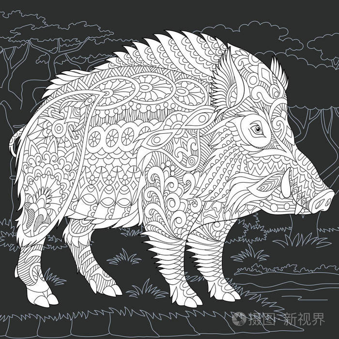 野生野猪画线艺术风格.2019中国新年标志.着色书.着色