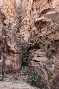 Nabatean 的古遗址, 约旦佩特拉城