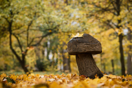 公园内有木质装饰的秋季景观
