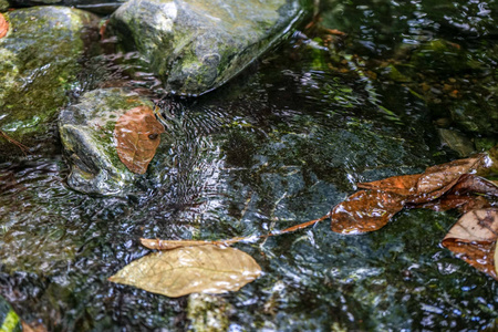 小山小河与叶子和石头图片