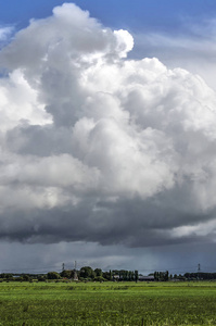 戏剧性的积云云在荷兰的圩景观与草地和风车